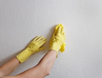 How-to-Clean-Walls